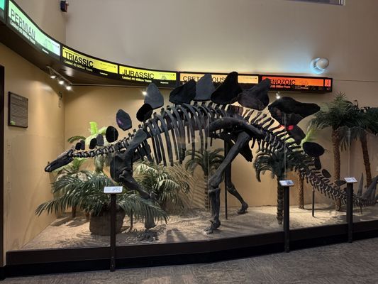 Springfield Museums by null
