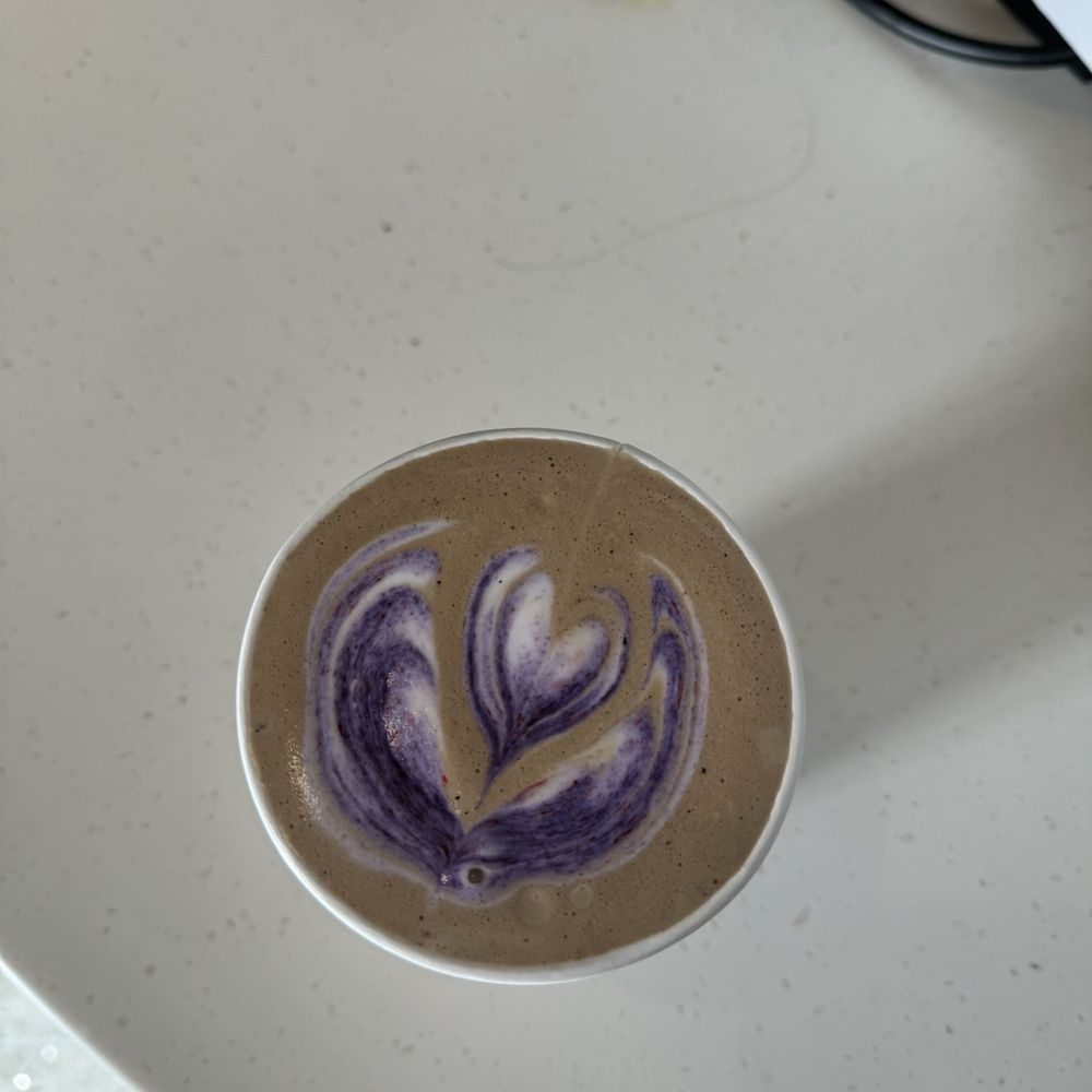 SPRO CoffeeLab - Coffee & Tea Near Me - San Francisco, California SPRO CoffeeLab - Coffee & Tea Near Me - San Francisco, California