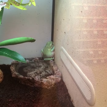 Pet Supplies Plus Fair Lawn - Frog we bought died - Pet Stores Near Me - Fair Lawn, New Jersey Pet Supplies Plus Fair Lawn - Frog we bought died - Pet Stores Near Me - Fair Lawn, New Jersey