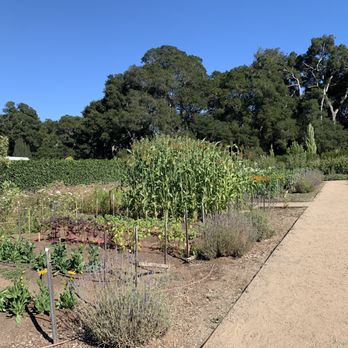Filoli - Botanical Gardens Near Me - Woodside, California Filoli - Botanical Gardens Near Me - Woodside, California
