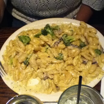 Joey Bs - Lynette had this GIANT serving of Pasta Con Broccoli. Must've weighed 1.5 lbs. Incredible. Lynette said it was great. - Italian Near Me - Saint Louis, Missouri Joey Bs - Lynette had this GIANT serving of Pasta Con Broccoli. Must've weighed 1.5 lbs. Incredible. Lynette said it was great. - Italian Near Me - Saint Louis, Missouri