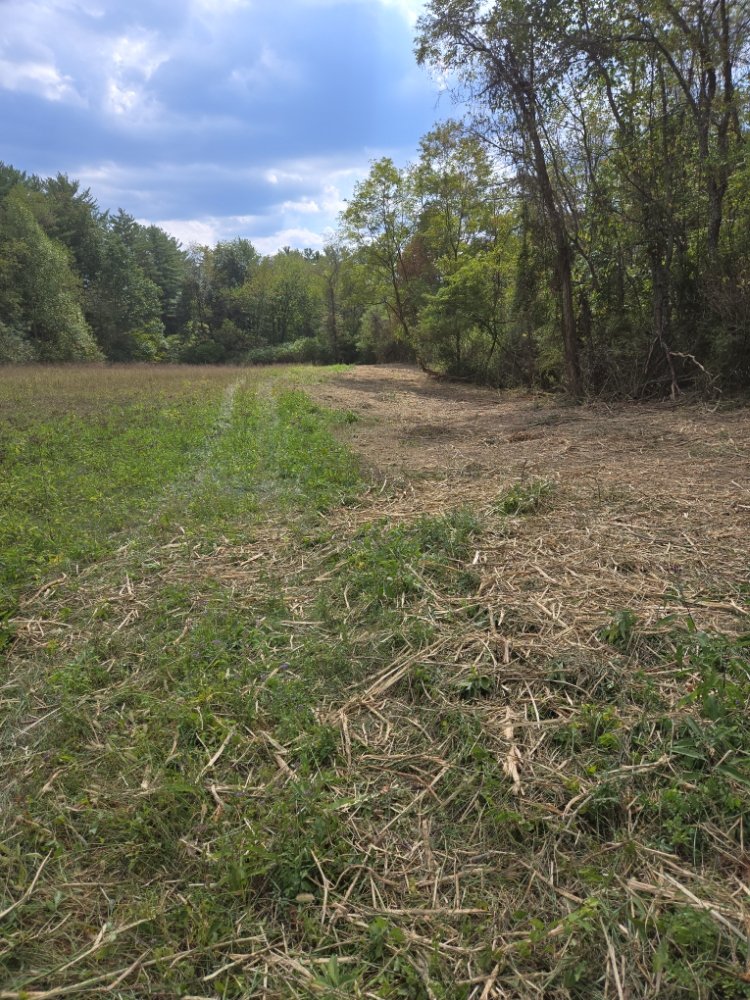 Slide of Elite Dain Solutions