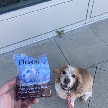 Pet Food Express - A happy boy! - Pet Stores Near Me - Oxnard, California