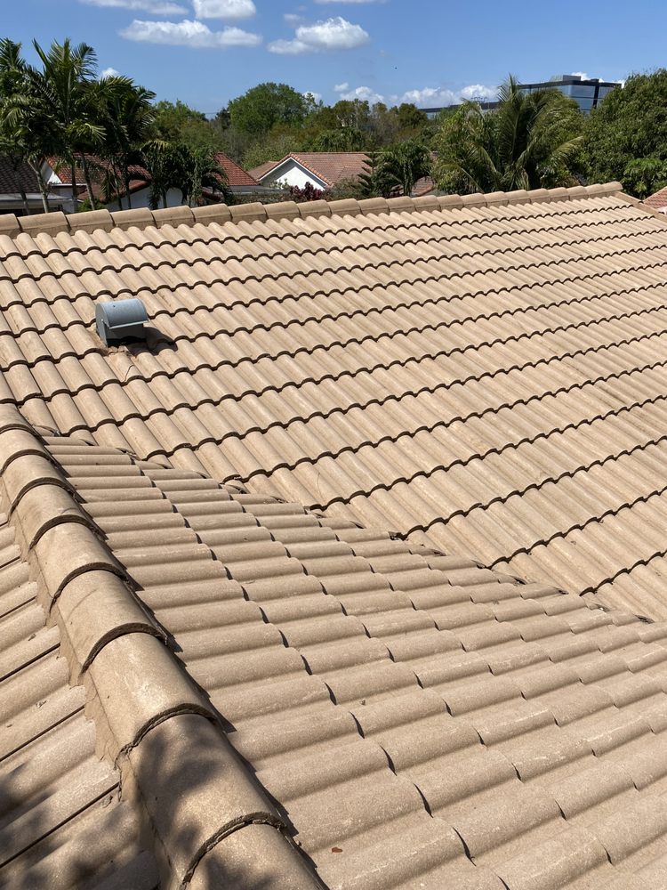 Slide of Renew Roof Cleaning