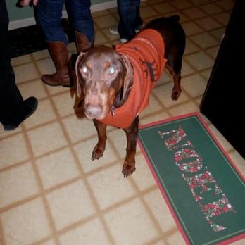 Ark Veterinary Hospital - Heart Worm Free just in time for the Ugly Sweater Party two years ago! - Veterinarians Near Me - Utica, Michigan Ark Veterinary Hospital - Heart Worm Free just in time for the Ugly Sweater Party two years ago! - Veterinarians Near Me - Utica, Michigan