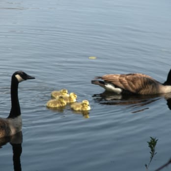 Alive and Wellness Massage & Healing - We're located on a quiet lake, perfect for relaxing. - Massage Near Me - Islip, New York Alive and Wellness Massage & Healing - We're located on a quiet lake, perfect for relaxing. - Massage Near Me - Islip, New York