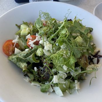 Prime Catch - Artisan Greens salad w/ honey balsamic dressing - Seafood Near Me - Boynton Beach, Florida Prime Catch - Artisan Greens salad w/ honey balsamic dressing - Seafood Near Me - Boynton Beach, Florida