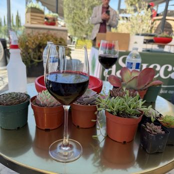 ASucca4U - What we started with - Florists Near Me - Menifee, California ASucca4U - What we started with - Florists Near Me - Menifee, California