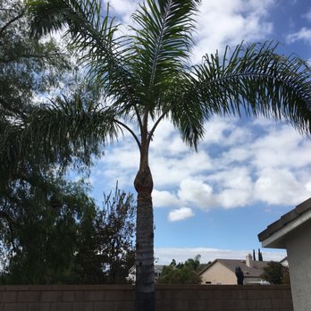 Quality Tree Service - Tree Services Near Me