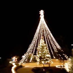 New Life Community Church of the Nazarene - Christmas Tree at New Life Church during the Christmas season