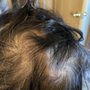 Photo of Hair Unlimited of Denver Inc.