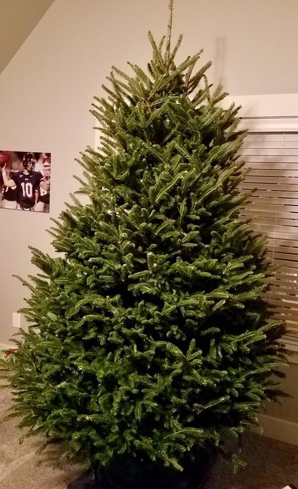 CLEMENTS LAWN SERVICE Updated October 2024 304 Eastside Rd, Burns