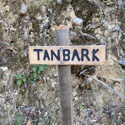 Tanbark Trail - You've reached the top