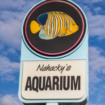 Nahacky's Aquarium - Pet Stores Near Me - Melbourne, Florida