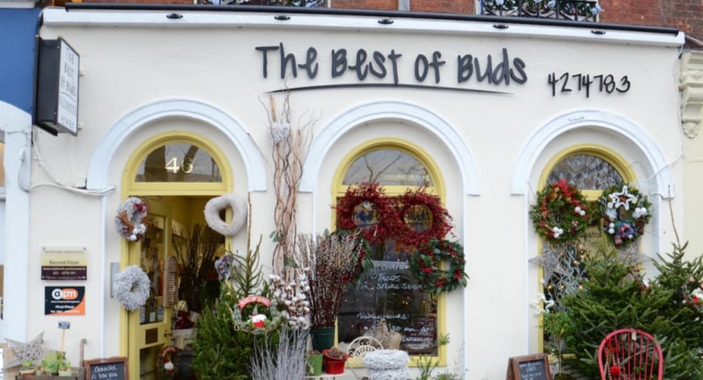BEST OF BUDS Updated July 2024 Winthrop Arcade, Cork, Republic of