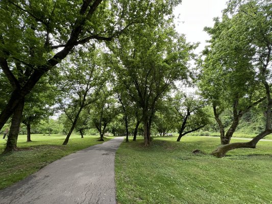 French Broad River Park by null