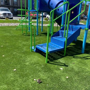 Sierra Vista Apartments - Kids couldn't even play beacuse it smelled - Apartments Near Me - Reno, Nevada