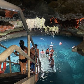 Devil's Den Prehistoric Spring - Scuba Diving Near Me - Williston, Florida Devil's Den Prehistoric Spring - Scuba Diving Near Me - Williston, Florida