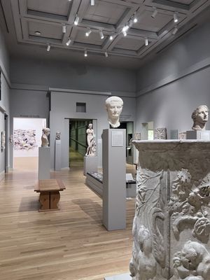 Michael C. Carlos Museum by null