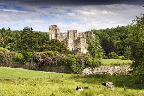 Old Wardour Castle by null