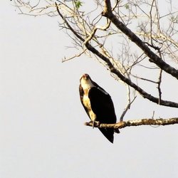 Sims Bayou Hike & Bike Trail