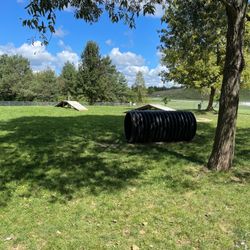 Grand Blanc Parks & Recreation - Agility