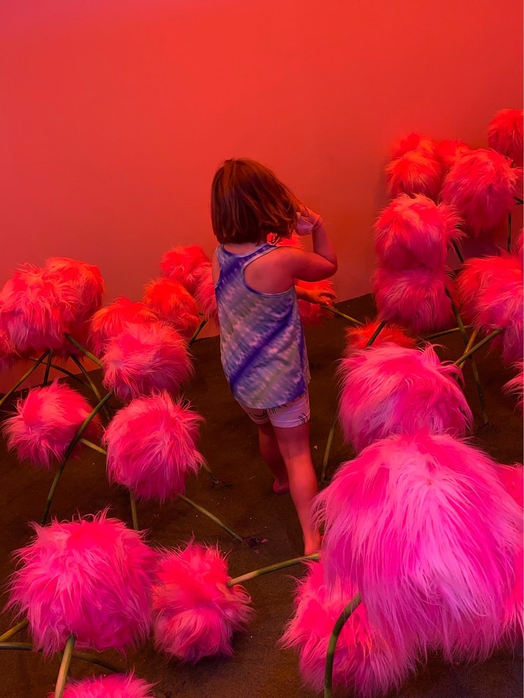 Dr Seuss Experience