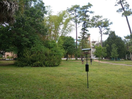 UCF Arboretum by null