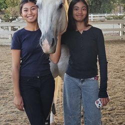 Horizons East Equestrian Center - Friends & family