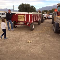 Pumpkin Point Farms - Hay rides after 5 on Friday, say and mom