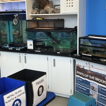 Environmental Education Center - Educational Services Near Me - Brooklyn, New York