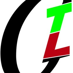 The Little Guy Computer Consultants & Repair - The Little Guy Computer Consultants and Repair Logo.