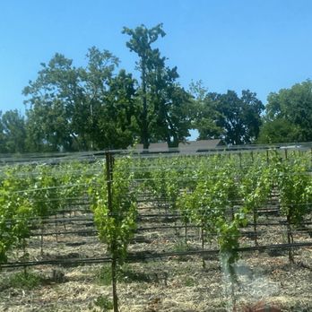 Bella Union Winery - Wineries Near Me - St. Helena, California Bella Union Winery - Wineries Near Me - St. Helena, California