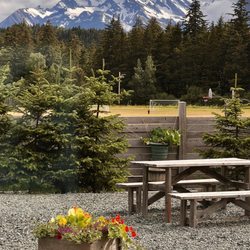 Haines Brewing Company - Haines Brewing Company back patio... so inviting.