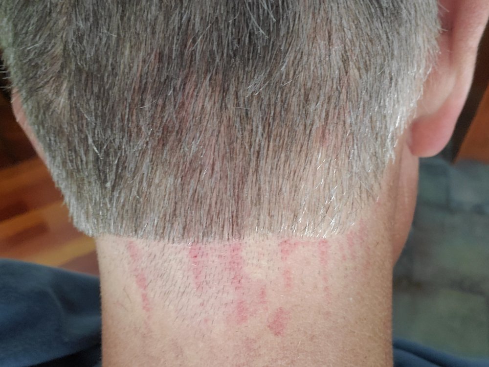great-clips-56-reviews-10615-tierrasanta-blvd-san-diego-ca-yelp