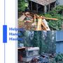 Photo of Helping Hands Hauling
