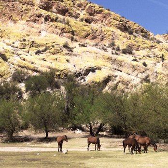 Tonto National Forest - Parks Near Me Tonto National Forest - Parks Near Me