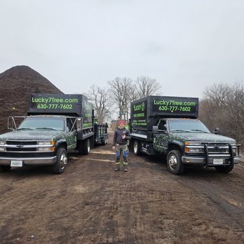 Lucky 7 Tree Service - Tree Services Near Me - West Chicago, Illinois Lucky 7 Tree Service - Tree Services Near Me - West Chicago, Illinois