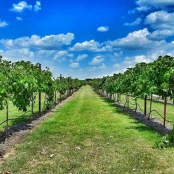 Denton Valley Farms - Vineyard - Venues & Event Spaces Near Me - Clyde, Texas