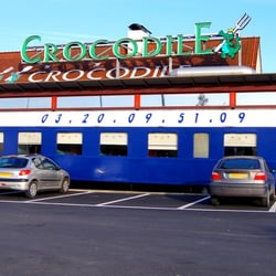 Crocodile