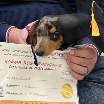 Karma Dog Training - Pet Training Near Me