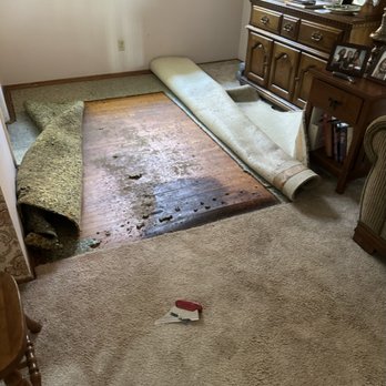Floor + Medics - Jason fixed the major buckling here, making the area safe for my elderly mother as it created a fall risk. - Carpet Cleaning Near Me - San Diego, California Floor + Medics - Jason fixed the major buckling here, making the area safe for my elderly mother as it created a fall risk. - Carpet Cleaning Near Me - San Diego, California