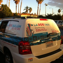 La Dog Taxi