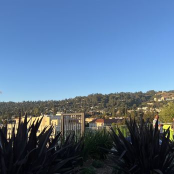 Study Hall Rooftop Lounge - View from above - Lounges Near Me - Berkeley, California