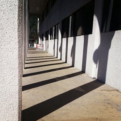 En lo que esperas tu trámite, recorre el edificio, disfruta sus formas, sus jardines.