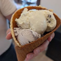 Farm To Table Ice Cream - Huckleberry and mountain mint split scoop in a waffle cone