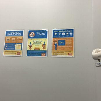 Fairfax Veterinary Hospital - Veterinarians Near Me - Fairfax, Virginia Fairfax Veterinary Hospital - Veterinarians Near Me - Fairfax, Virginia