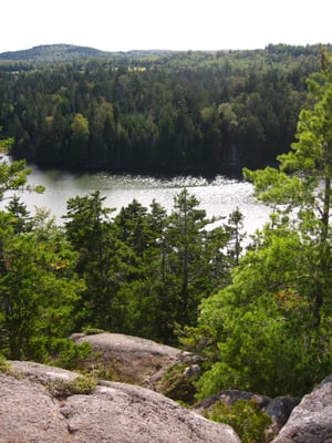 Cobscook Bay State Park by null