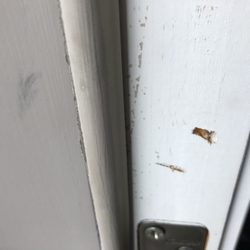 Overhaul Moving Co - Gouge in doorway