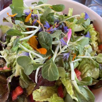 Bloom Carneros - Summer salad - New American Near Me - Sonoma, California Bloom Carneros - Summer salad - New American Near Me - Sonoma, California